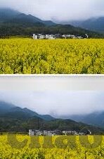 91精品无人区麻豆乱码1区2区-品味网络文化新边疆，探索91精品无人区麻豆现象