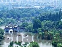 糖心视频app免费版-苹果视频体验新升级，糖心视频APP免费版深度评测